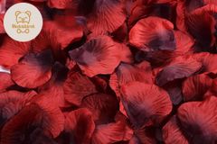 Okvětní lístky růže 800 ks - červeno černé vlčí mák