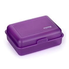 Karton PP Box na svačinu fialová-mat
