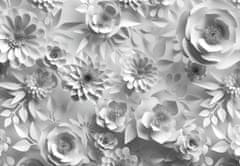 LuxusniObrazy.cz Fototapeta - Bílé květiny 539x389 cm