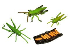 Animal Life figurka životní cyklus kobylka