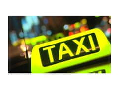 Alum online Taxi světlo na střechu auta s magnetem, 12V - 29x12,5x10,5 cm