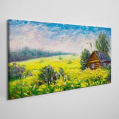 COLORAY.CZ Obraz na plátně Sky květiny Krajina 120x60 cm