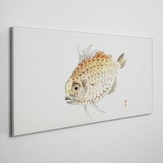 COLORAY.CZ Obraz na plátně Rybí zvířata 100x50 cm