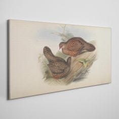 COLORAY.CZ Obraz na plátně Ptáci béžová zvířata 120x60 cm