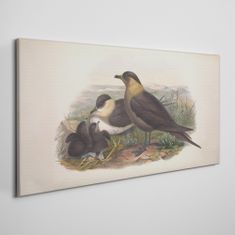 COLORAY.CZ Obraz na plátně Zvířata ptáků 100x50 cm