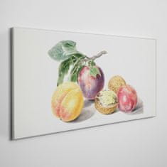 COLORAY.CZ Obraz na plátně Ovoce větev listy 100x50 cm