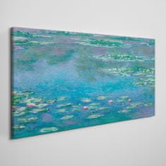 COLORAY.CZ Obraz na plátně Vodní lilie mince 100x50 cm