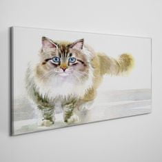 COLORAY.CZ Obraz na plátně Moderní zvířecí kočka 100x50 cm
