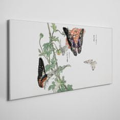 COLORAY.CZ Obraz na plátně Větve hmyzu 100x50 cm