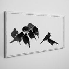 COLORAY.CZ Obraz na plátně Moderní zvířata ptáků 100x50 cm