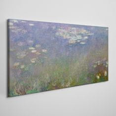 COLORAY.CZ Obraz na plátně Vodní lilie mince 120x60 cm