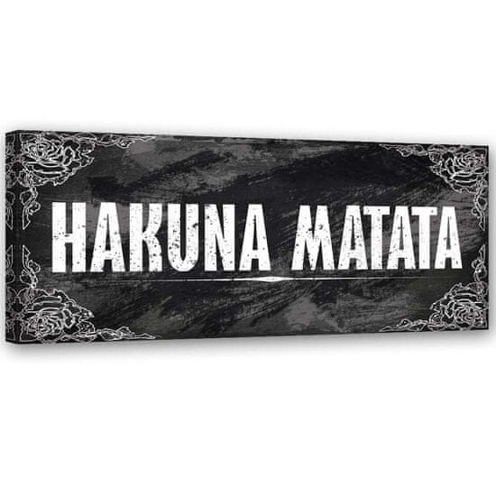 shumee Malba na plátně, Hakuna Matata Lví král - 150x50