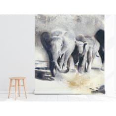 COLORAY.CZ  Fototapeta Putování slonů 250 x 250 cm Fototapeta Vliesová