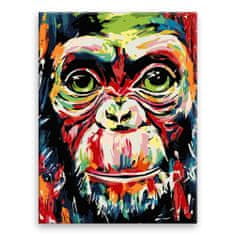 Malujsi Malování podle čísel - Barevná opice - 60x80 cm, bez dřevěného rámu