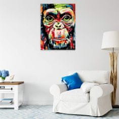 Malujsi Malování podle čísel - Barevná opice - 60x80 cm, bez dřevěného rámu