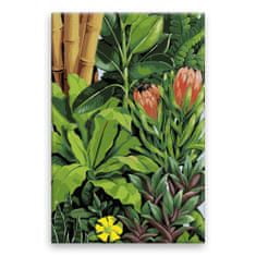 Malujsi Malování podle čísel - Exotické rostliny 02 - 80x120 cm, plátno vypnuté na rám