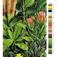 Malujsi Malování podle čísel - Exotické rostliny 02 - 80x120 cm, plátno vypnuté na rám