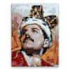 Malování podle čísel - Freddie Mercury 02 - 30x40 cm, plátno vypnuté na rám