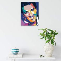 Malujsi Malování podle čísel - Elvis Presley 01 - 30x40 cm, bez dřevěného rámu