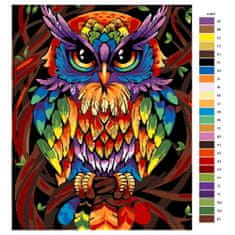 Malujsi Malování podle čísel - Barevná sova - 40x50 cm, bez dřevěného rámu
