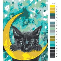 Malujsi Malování podle čísel - Kočka a měsíc - 40x60 cm, bez dřevěného rámu