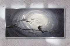 COLORAY.CZ Obraz na skle Abstrakce Noční zvířecí pták 100x50 cm