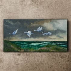 COLORAY.CZ Obraz na plátně Sea Sky Birds labutě 120x60 cm