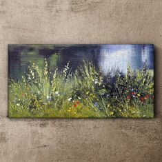COLORAY.CZ Obraz na plátně Řeka květiny Tráva 120x60 cm