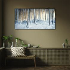 COLORAY.CZ Obraz na skle Abstrakce zimní sen příroda 100x50 cm