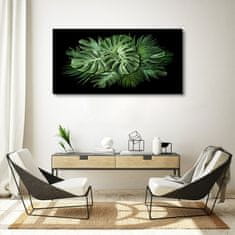 COLORAY.CZ Obraz na plátně Rostlinné listy 120x60 cm