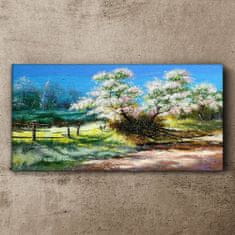 COLORAY.CZ Obraz na plátně Stromy květiny příroda 100x50 cm