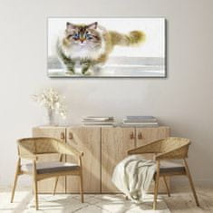 COLORAY.CZ Obraz na plátně Moderní zvířecí kočka 100x50 cm