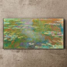 COLORAY.CZ Obraz na plátně Vodní lilie mince 100x50 cm