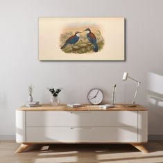 COLORAY.CZ Obraz na plátně Ptáci zvířata kreslení 100x50 cm