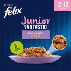 Felix FANTASTIC junior multipack kuře, losos v želé 48x85 g