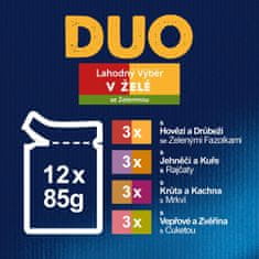 Felix FANTASTIC Duo multipack lahodný výběr v želé 72x85 g