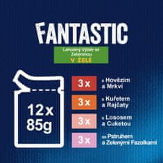 Felix FANTASTIC multipack lahodný výběr v želé 72x85 g