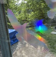 Traiva Silueta dravce - z holografické fólie fantazy rainbow - arch 30 x 40 cm, 11 dravců Dravci - Holografická samolepící fólie - 11 dravců na archu 30 x 40 cm, Kód: 25125