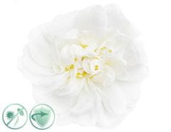 AlfaPureo White Flower - dezinfekční aroma olej, 20 ml