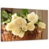 Obrázek, Žluté a bílé růže - 120x80