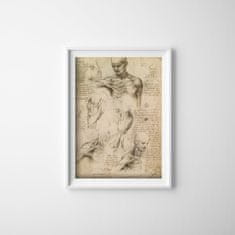 Vintage Posteria Dekorativní plakát Da Vinci svaly A1 - 59,4x84,1 cm