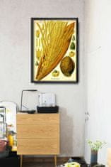 Vintage Posteria Dekorativní plakát Kokosová palma A4 - 21x29,7 cm