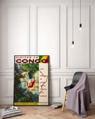 Vintage Posteria Dekorativní plakát Visitex le kongo afričan A4 - 21x29,7 cm