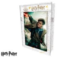 Wiky  3D PUZZLE Harry Potter-Harry Potter 300ks