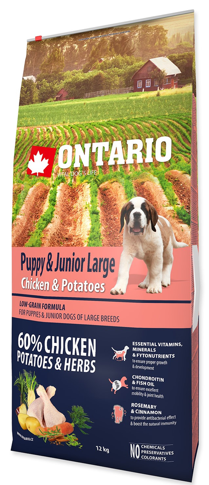 Levně Ontario Puppy & Junior Large Chicken & Potatoes 12kg