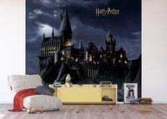 AG Design Dětská fototapeta Harry Potter 300x 270 cm