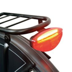 TWM zadní světlo s COB reflektorem LED bateriemi černá / červená