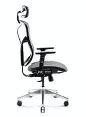 Diablo Chairs Ergonomická židle DIABLO V-BASIC: černo-šedá 