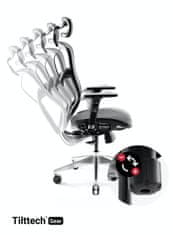 Diablo Chairs Ergonomická židle DIABLO V-BASIC: černo-šedá 