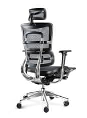 Diablo Chairs Ergonomická židle DIABLO V-MASTER: černo-šedá 